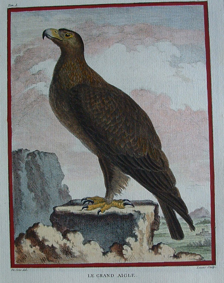 Le Grand Aigle