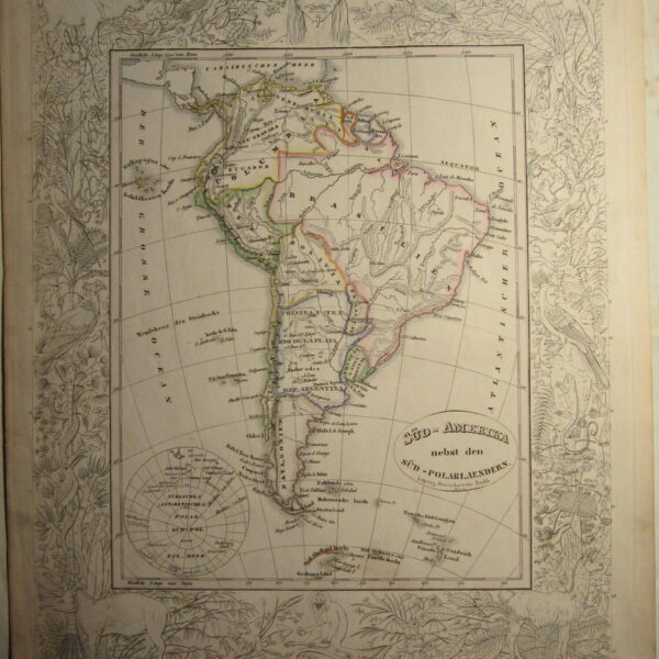 South America - Vogel