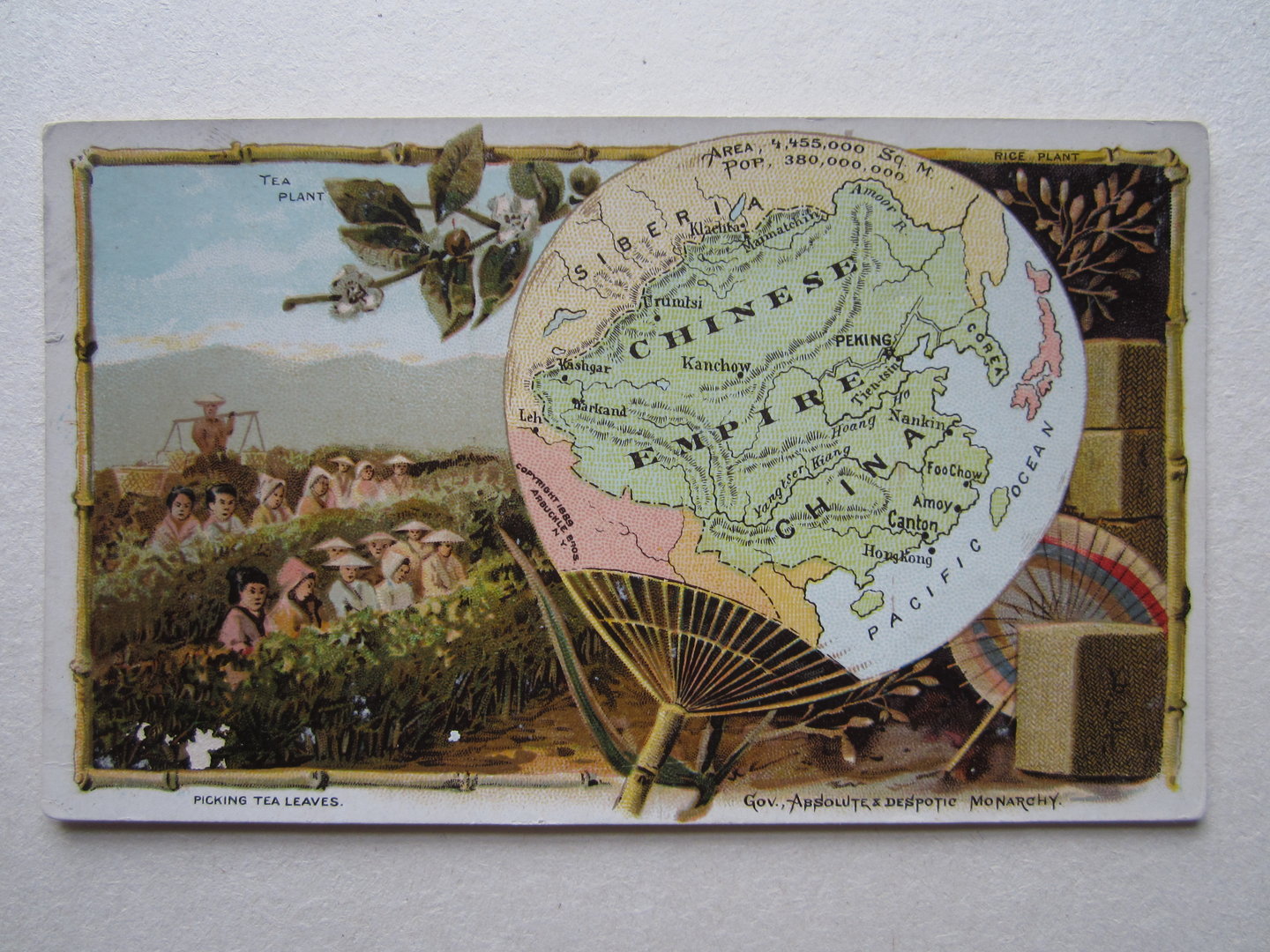 China - Arbuckle Coffee Card