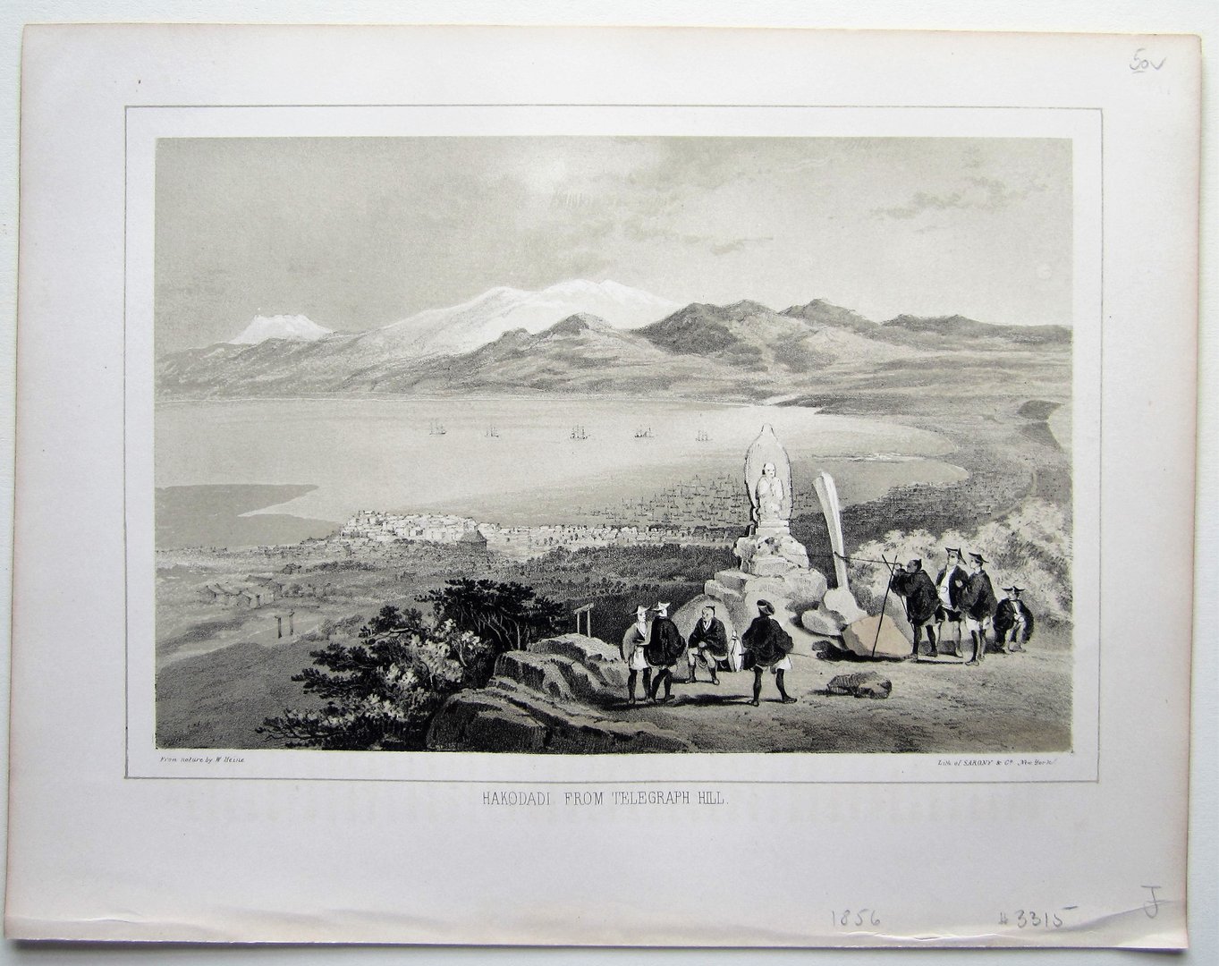 Japan - Hakodadi - Hawks