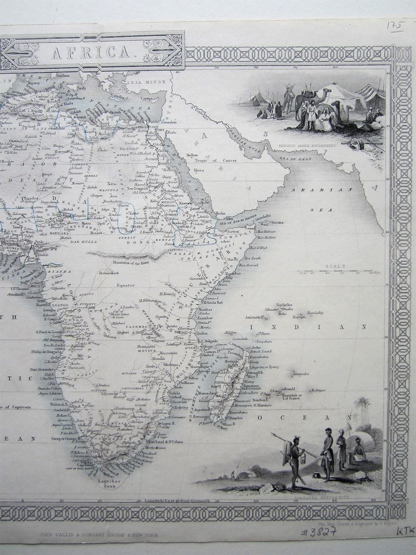 Africa - Tallis - Image 2