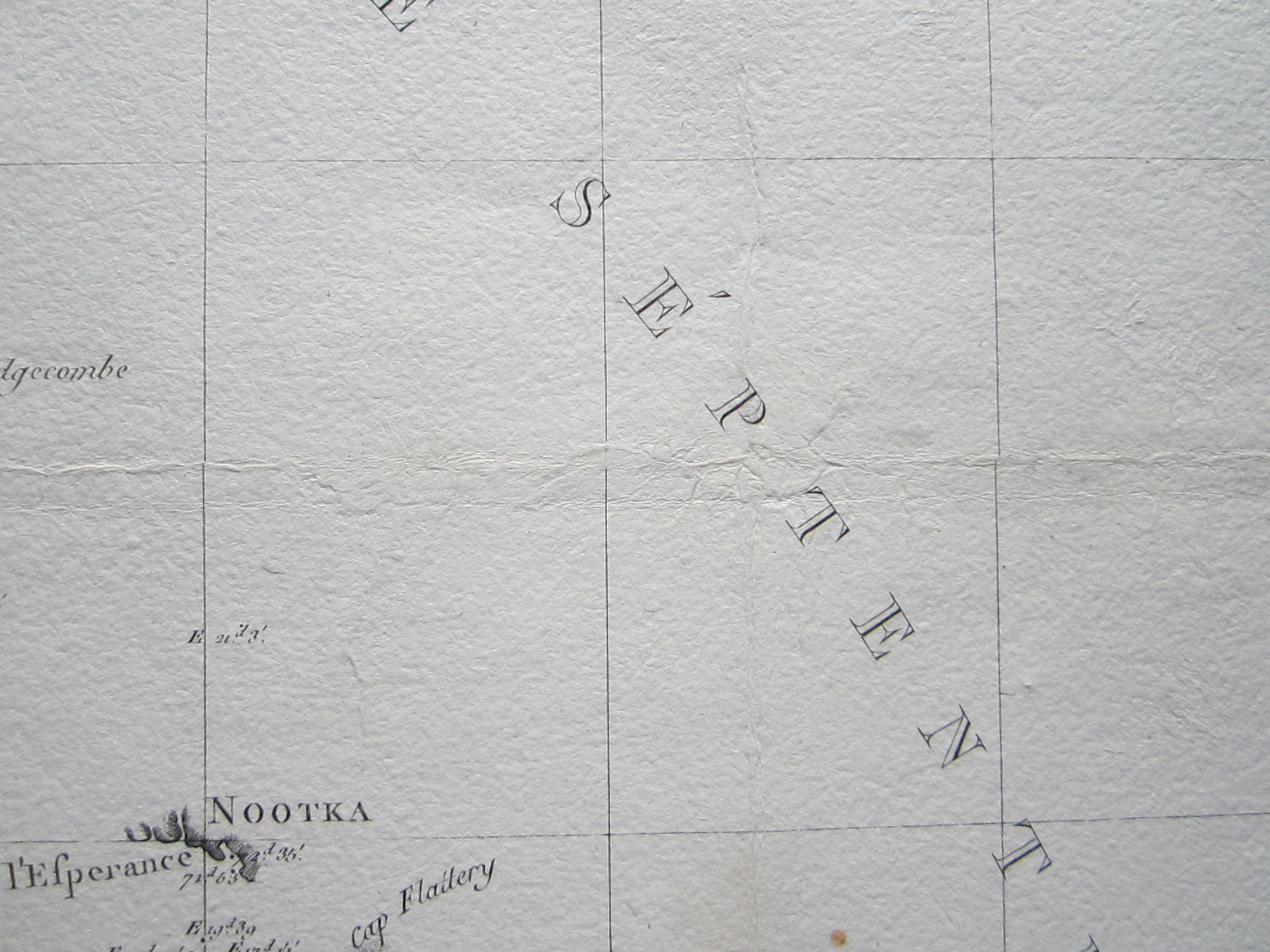 Australasia - Pacific - Buffon - Image 9