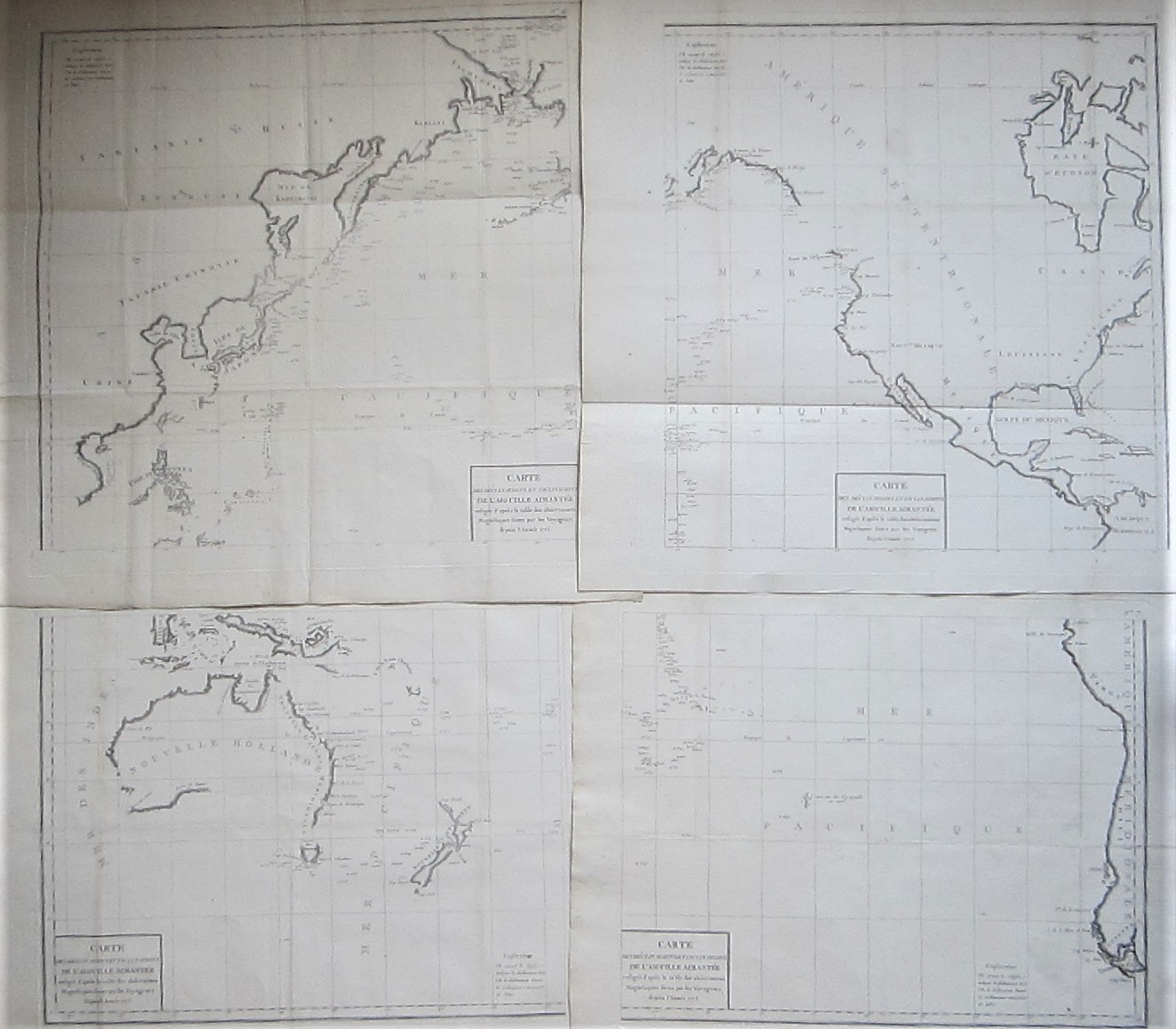 Australasia - Pacific - Buffon - Image 12