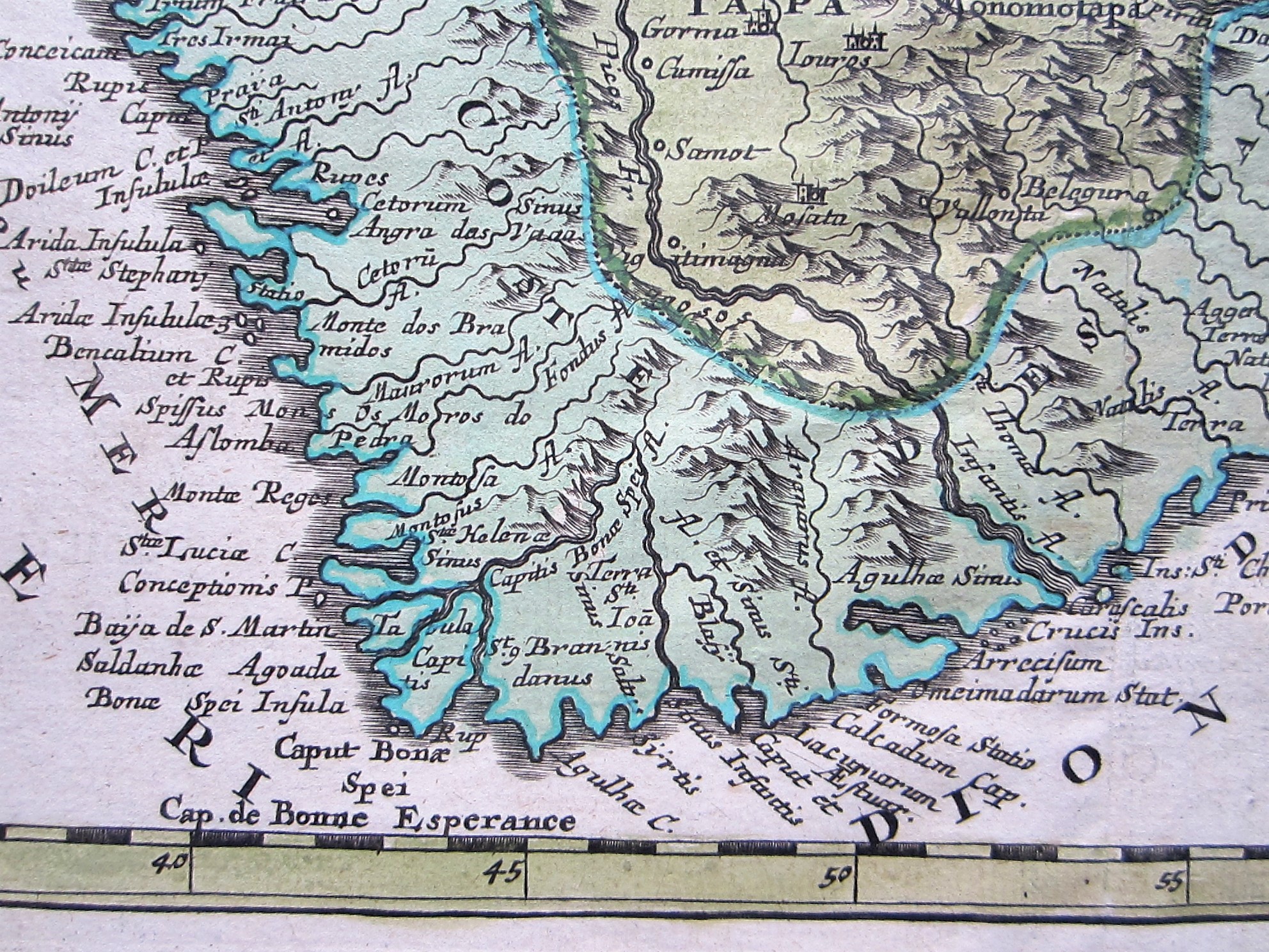 Africa - South Africa - Sanson