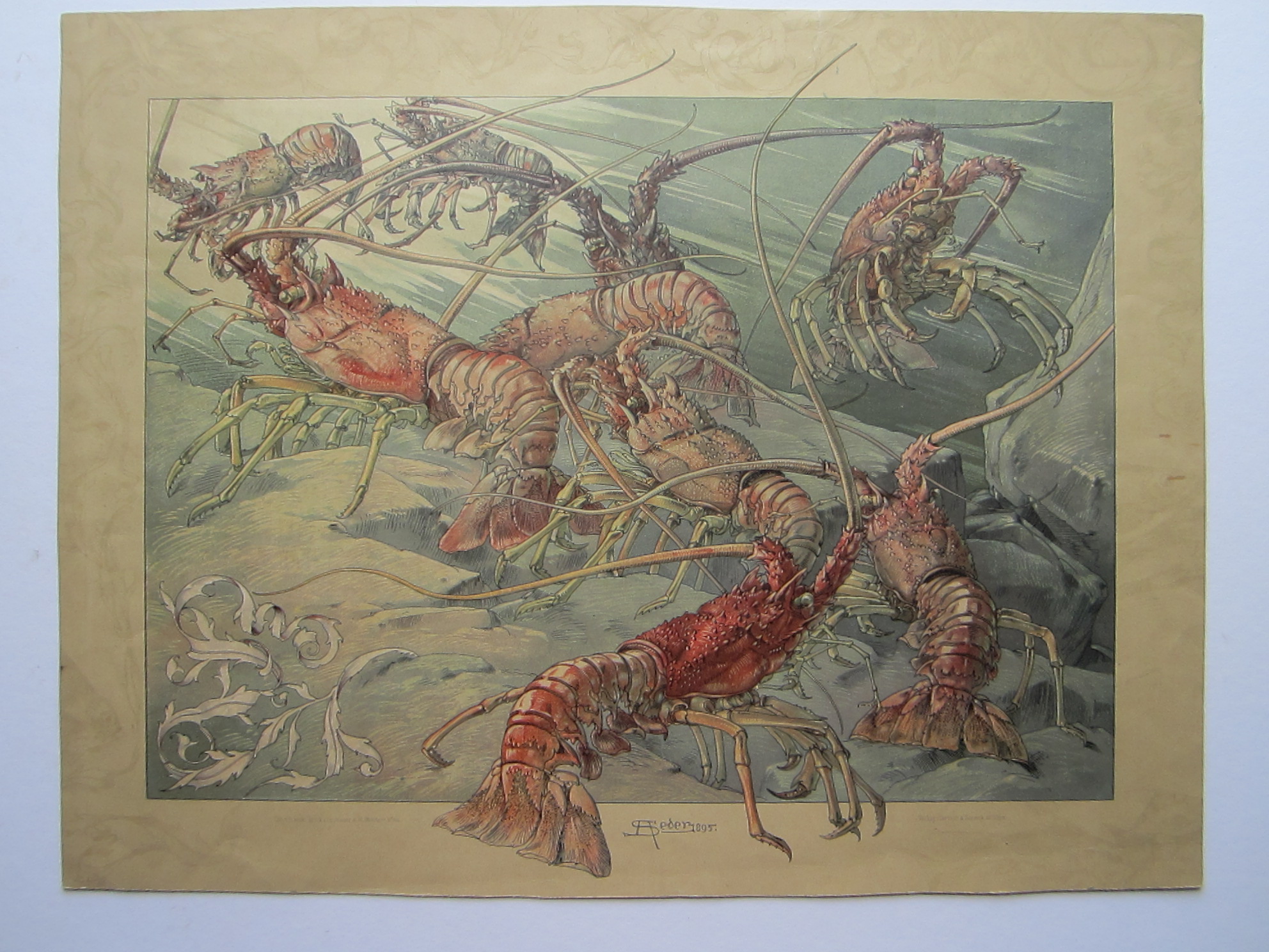 Red Lobster - Image 2