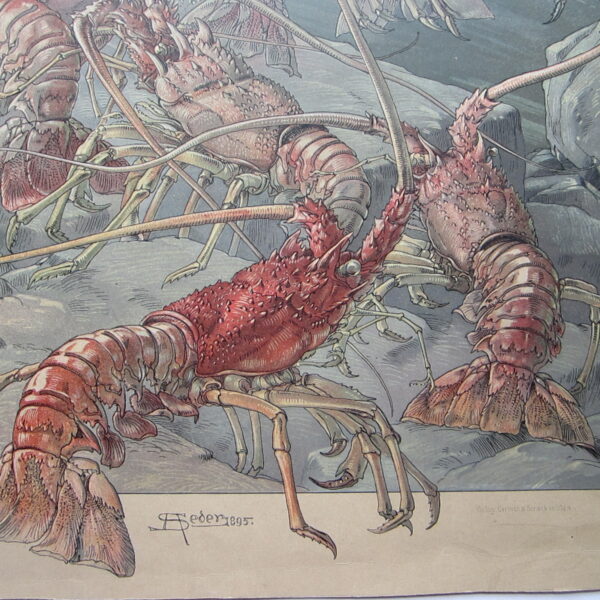 Red Lobster