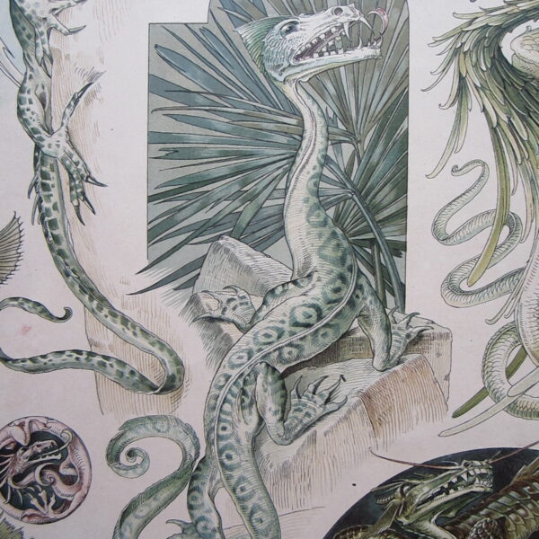 Green Dragon