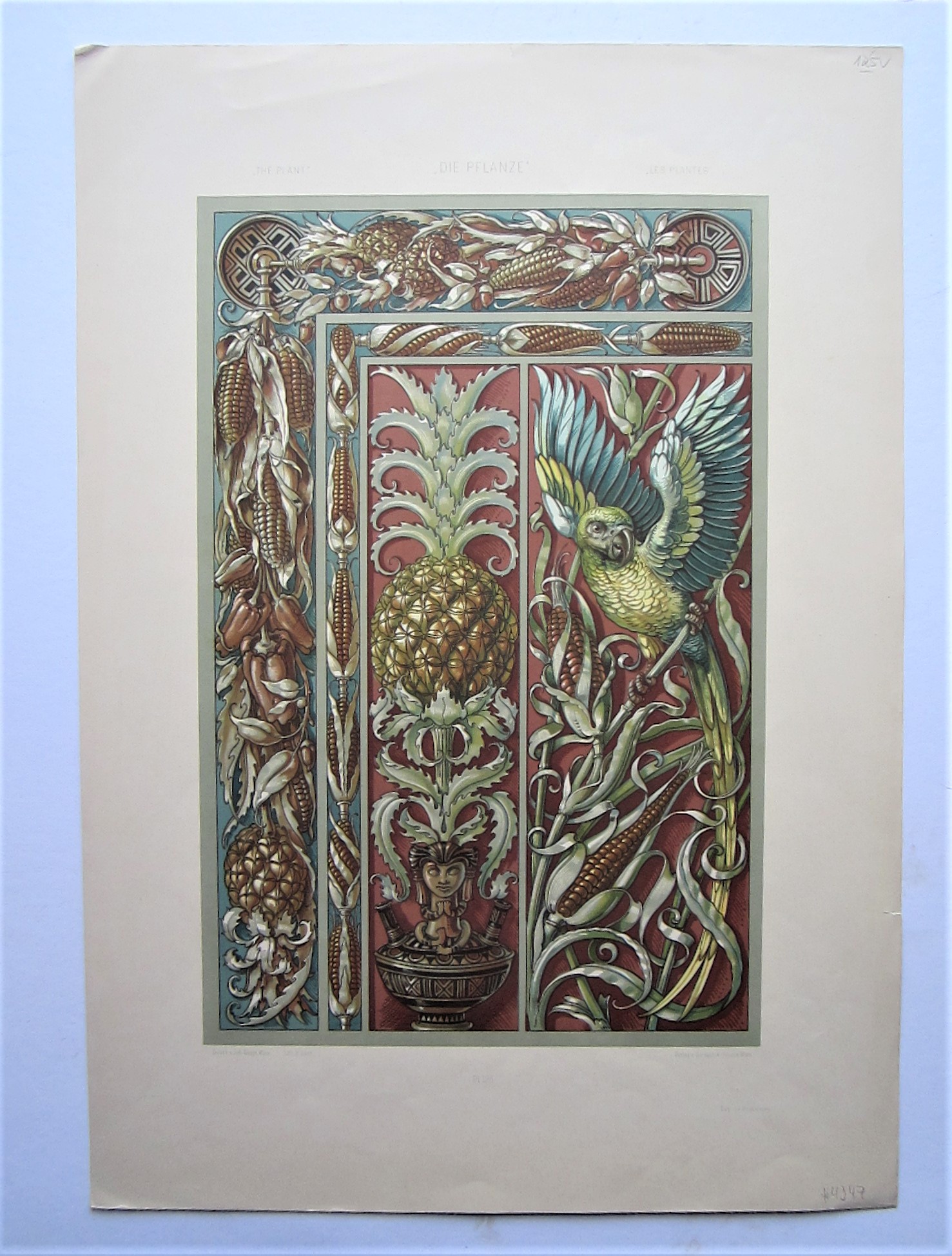 Pineapple and corn with Parakeet - Image 2