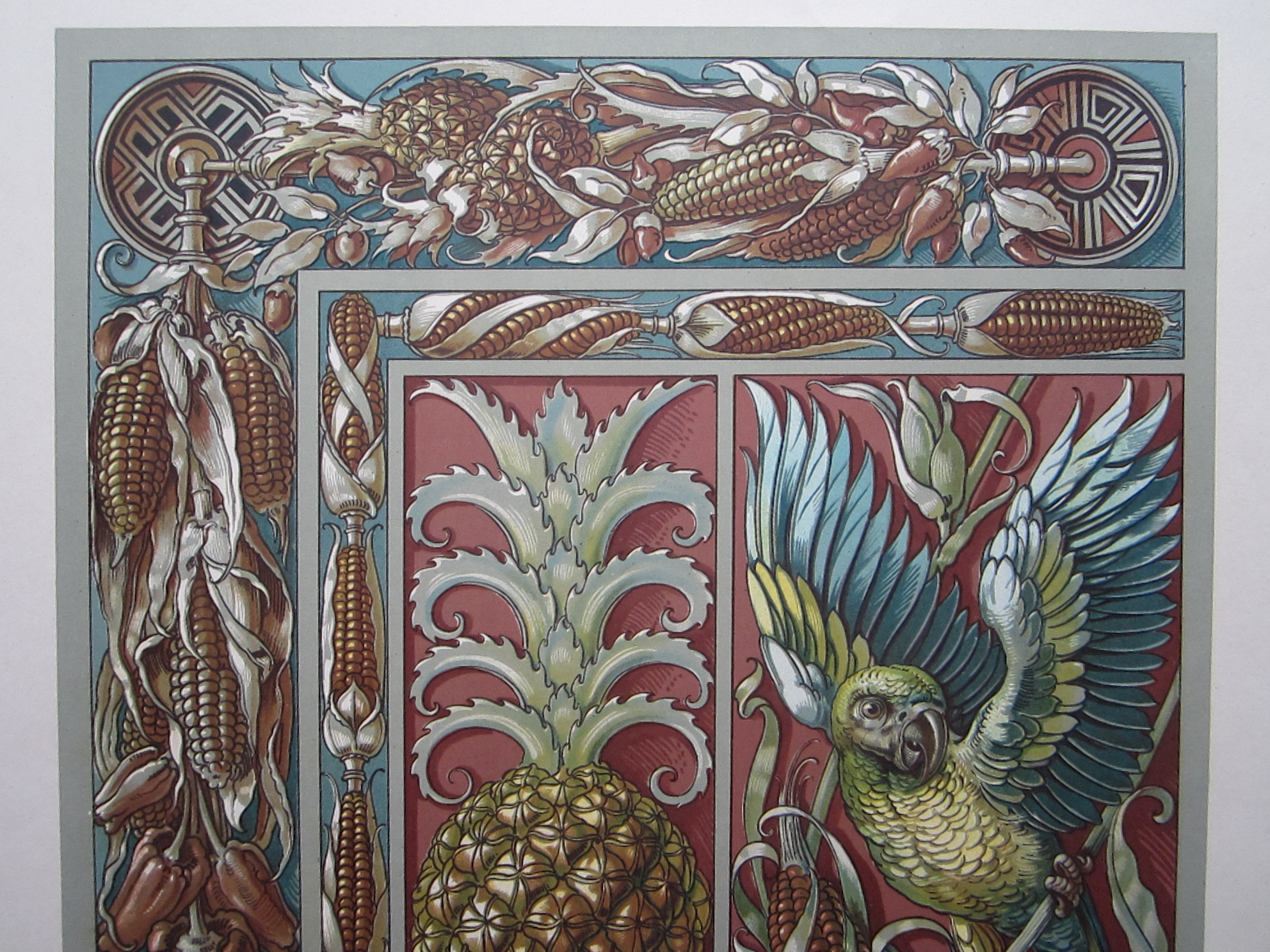 Pineapple and corn with Parakeet - Image 3