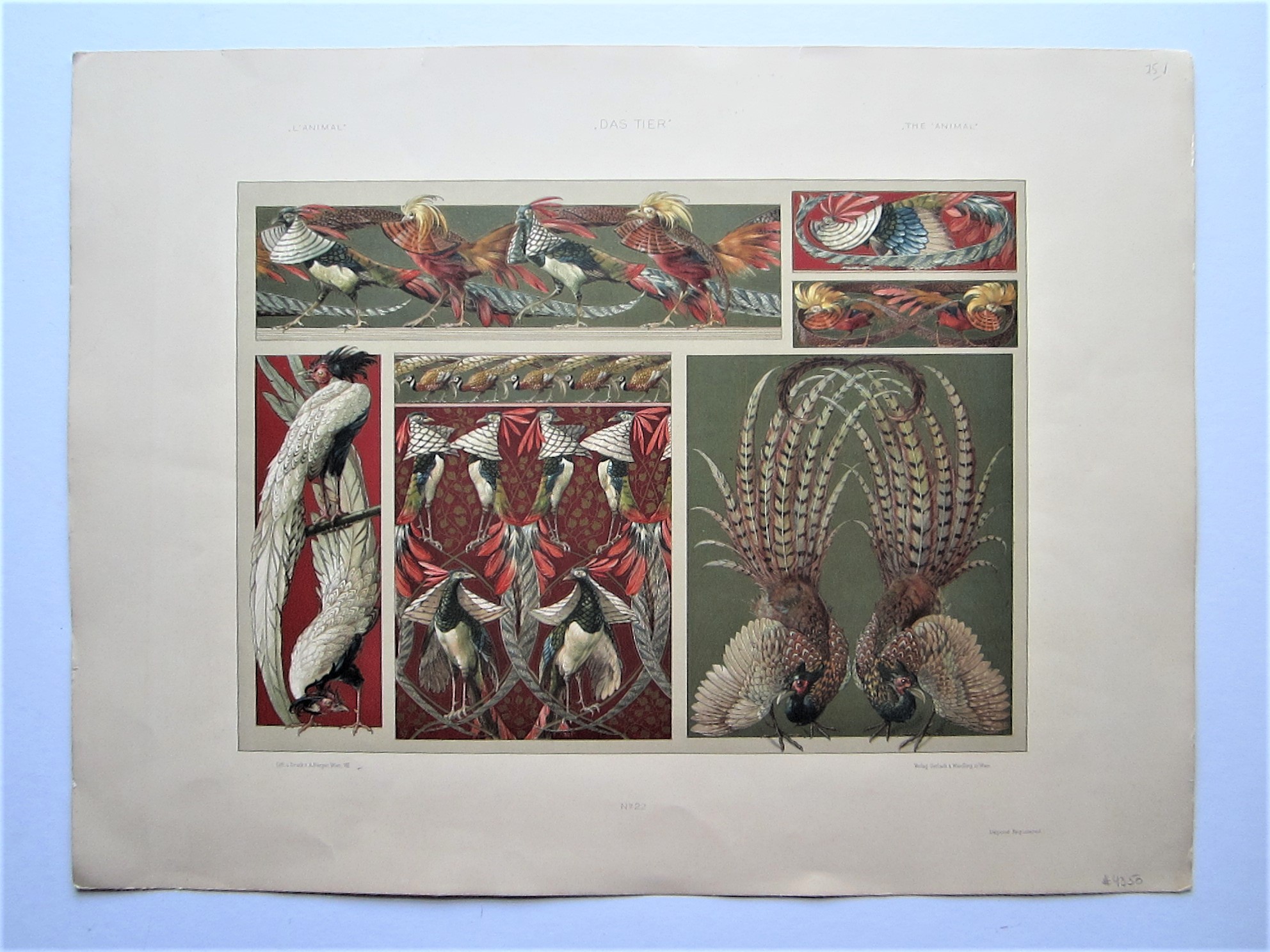 Pheasants. - Image 2