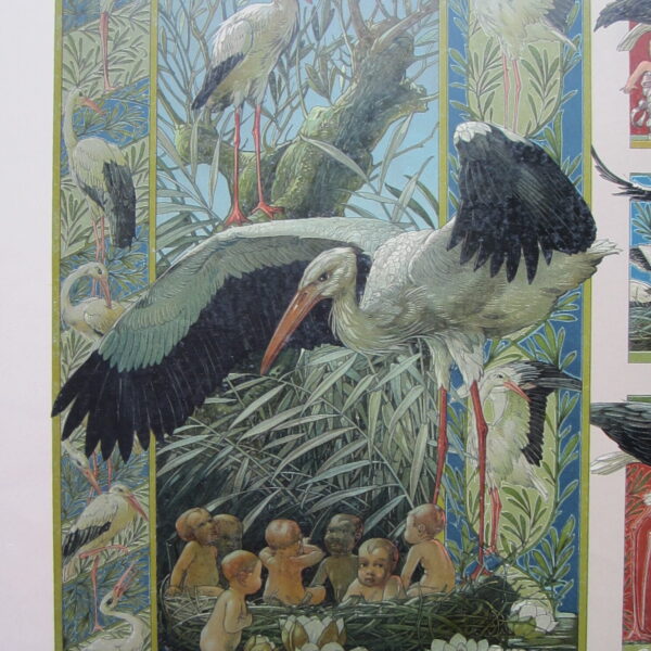 Storks and Babies.
