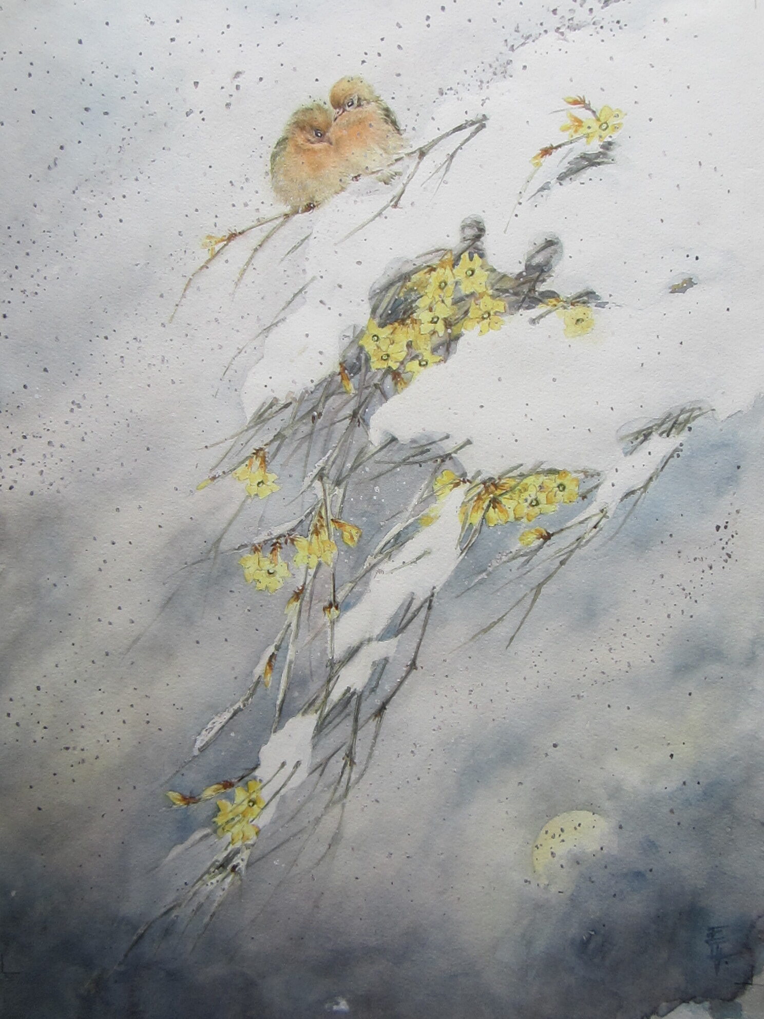 Botanicals - Original Watercolours