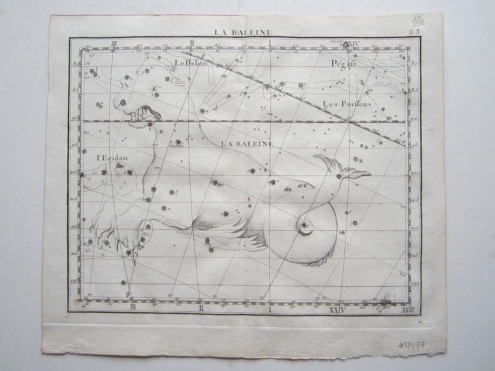 Celestials - Image 2