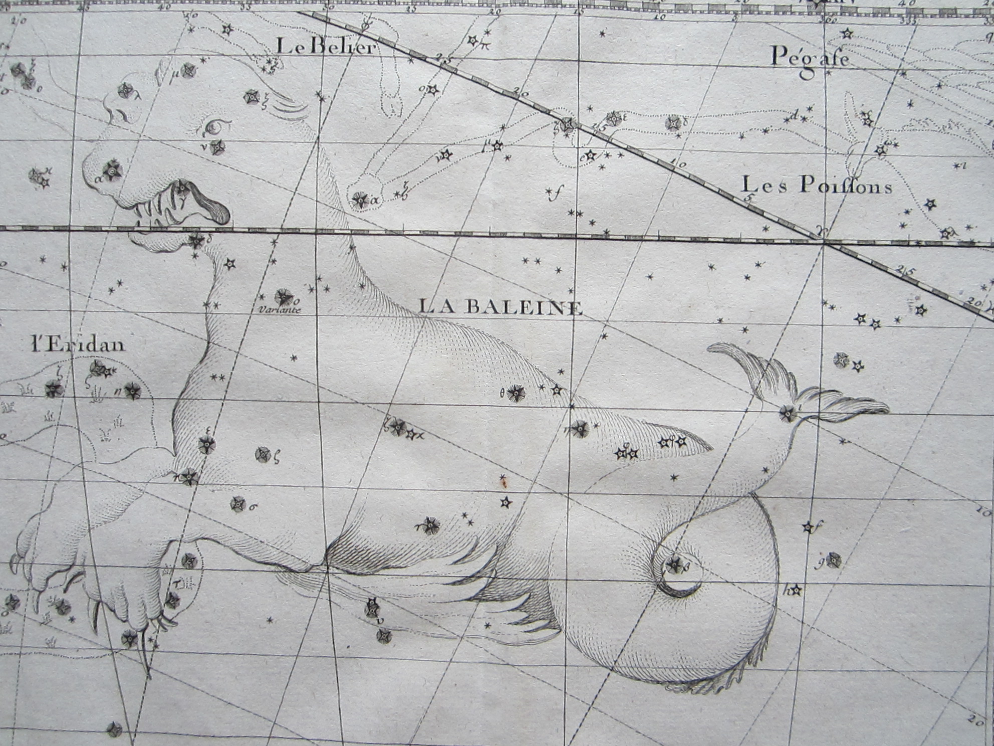 Celestials