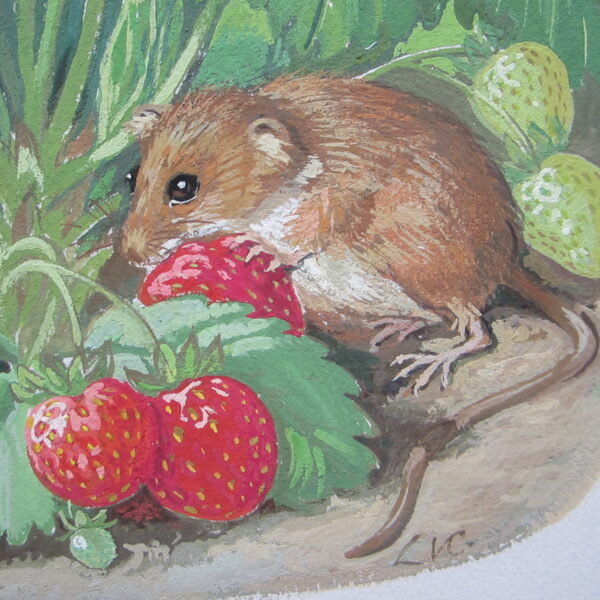 Gouache - Fieldmice