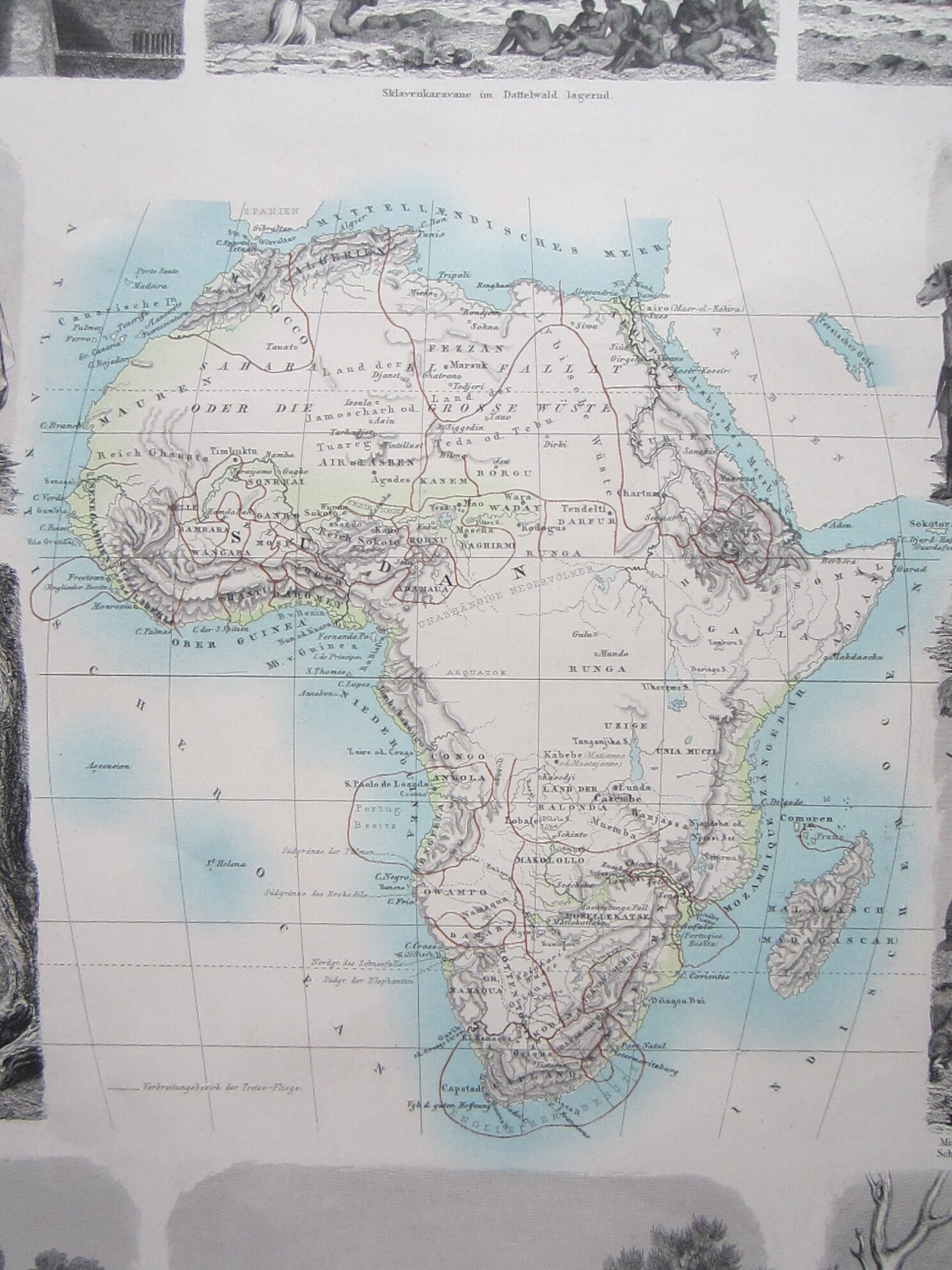 Africa - Image 2
